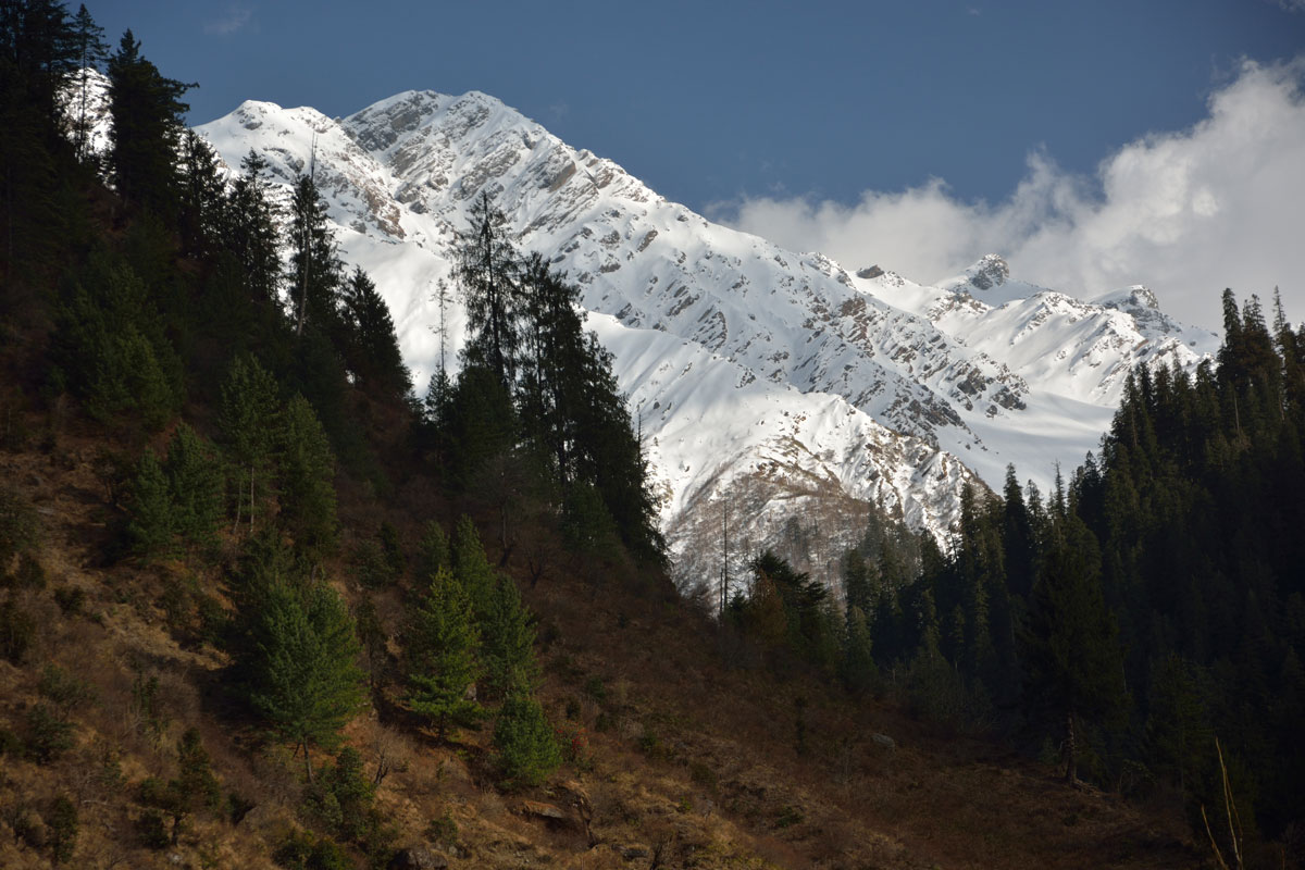 Panwani Gharat  camp site view