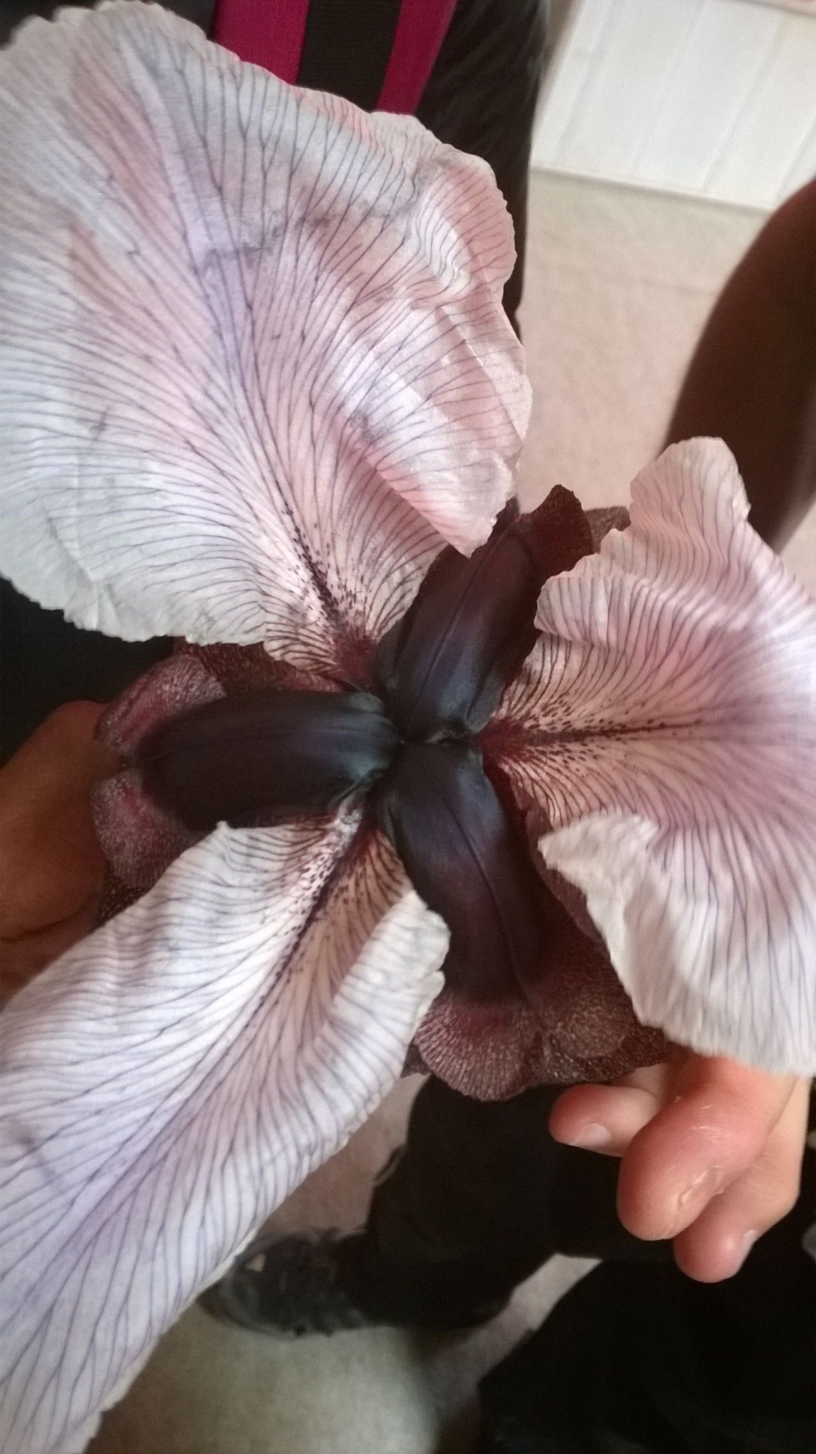 wp-20140501-006_original