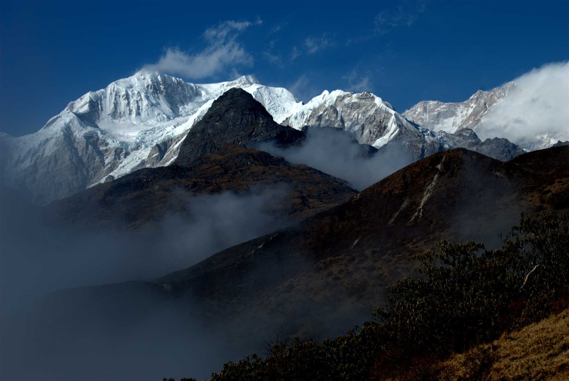 Black kabur in lap of Kanchenjunga