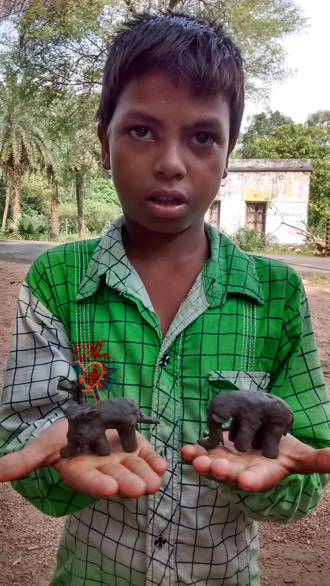 Tree Plantation Drive 4