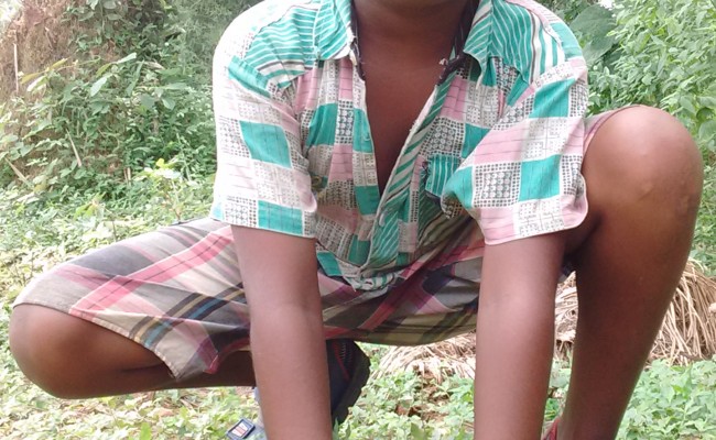 Tree Plantation Drive 8