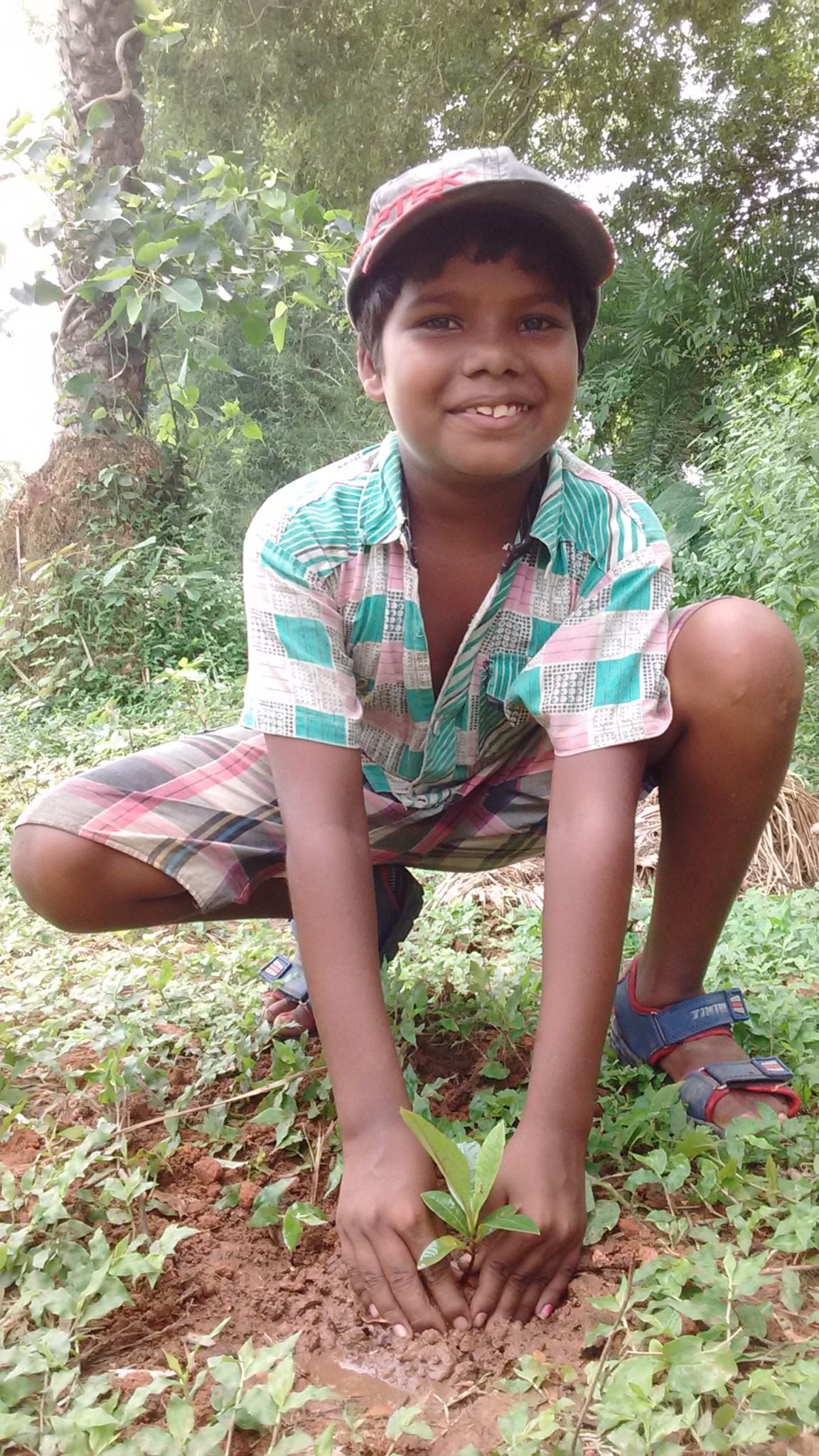 Tree Plantation Drive 8