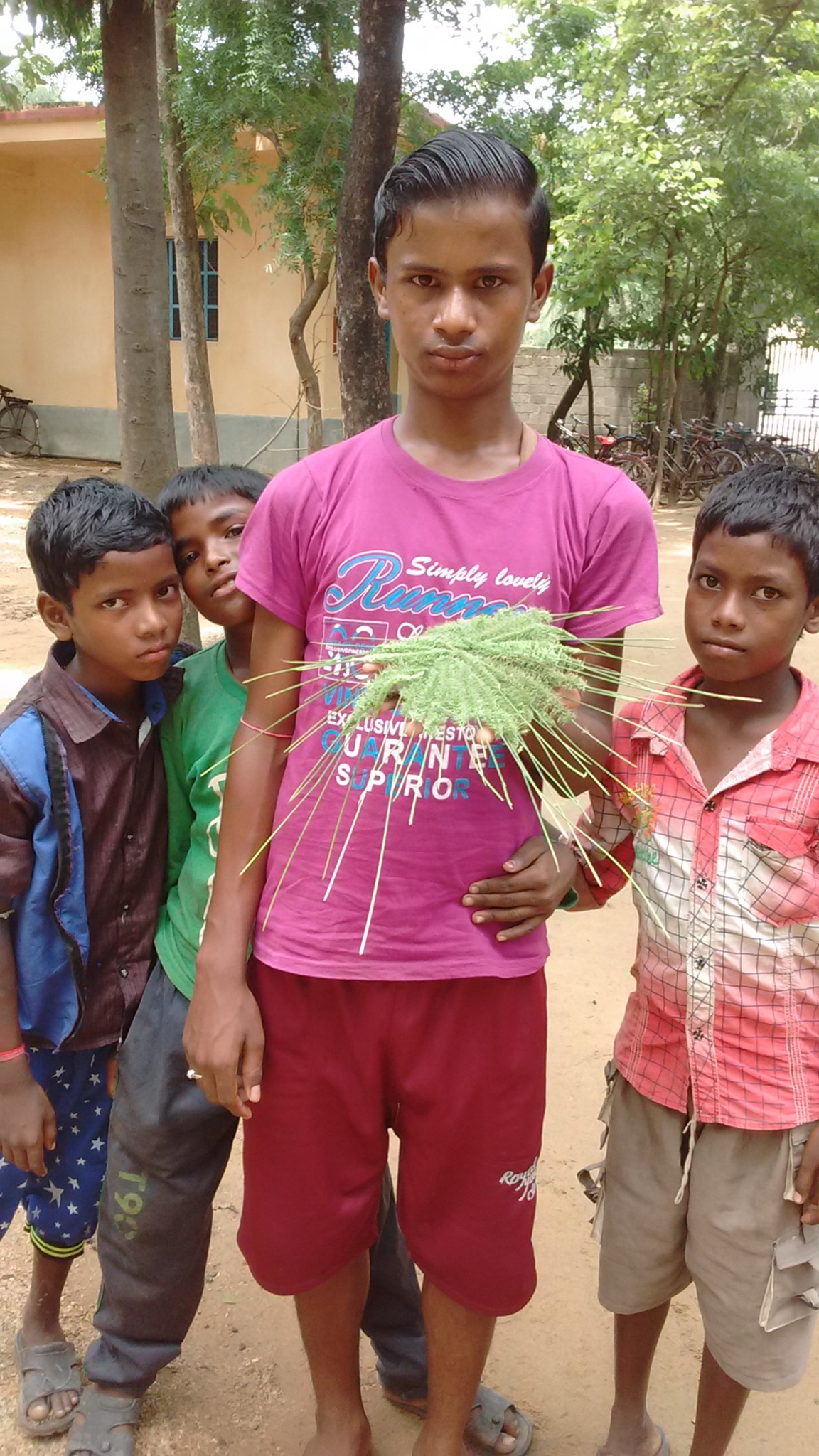 Tree Plantation Drive 9