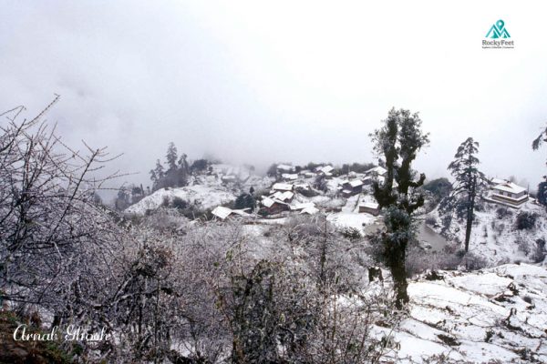 Tsoka at winter