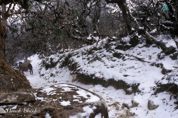 Way down winter Dzongri