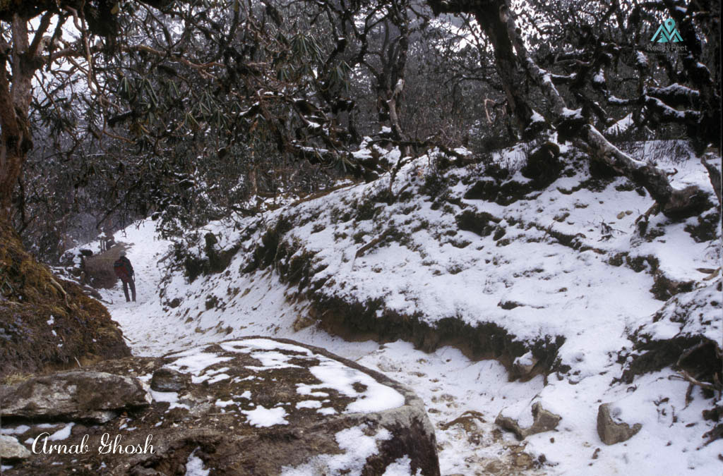 Way down winter Dzongri