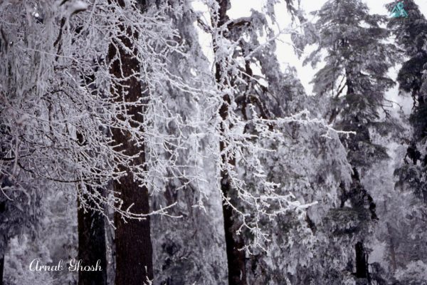 Winter Sikkim Trek