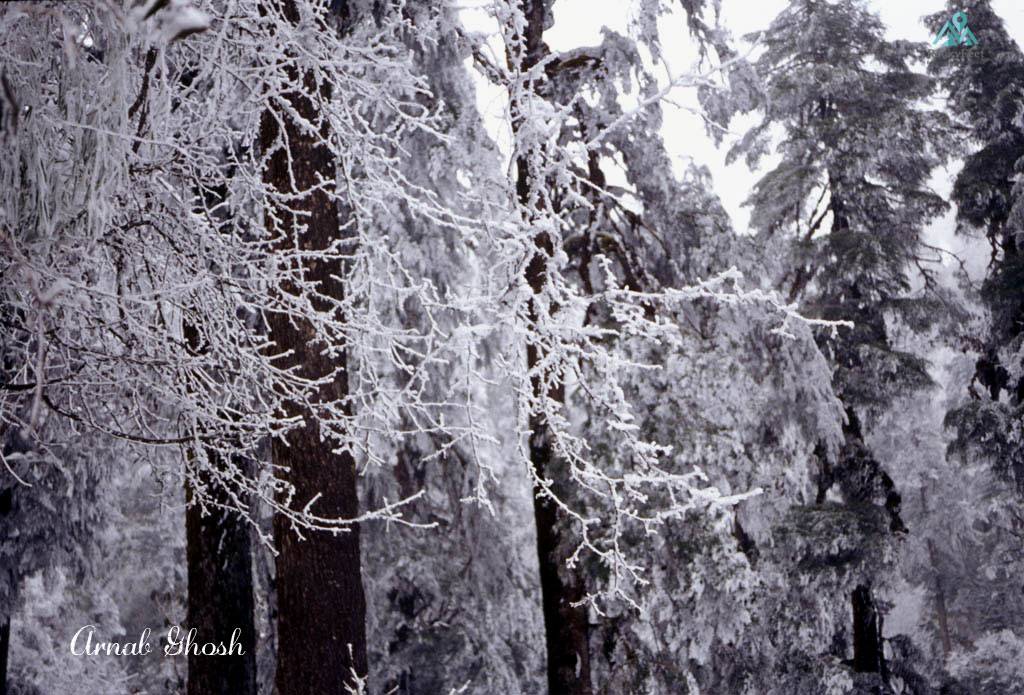 Winter Sikkim Trek