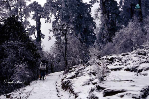 Winter Dzongri Trek