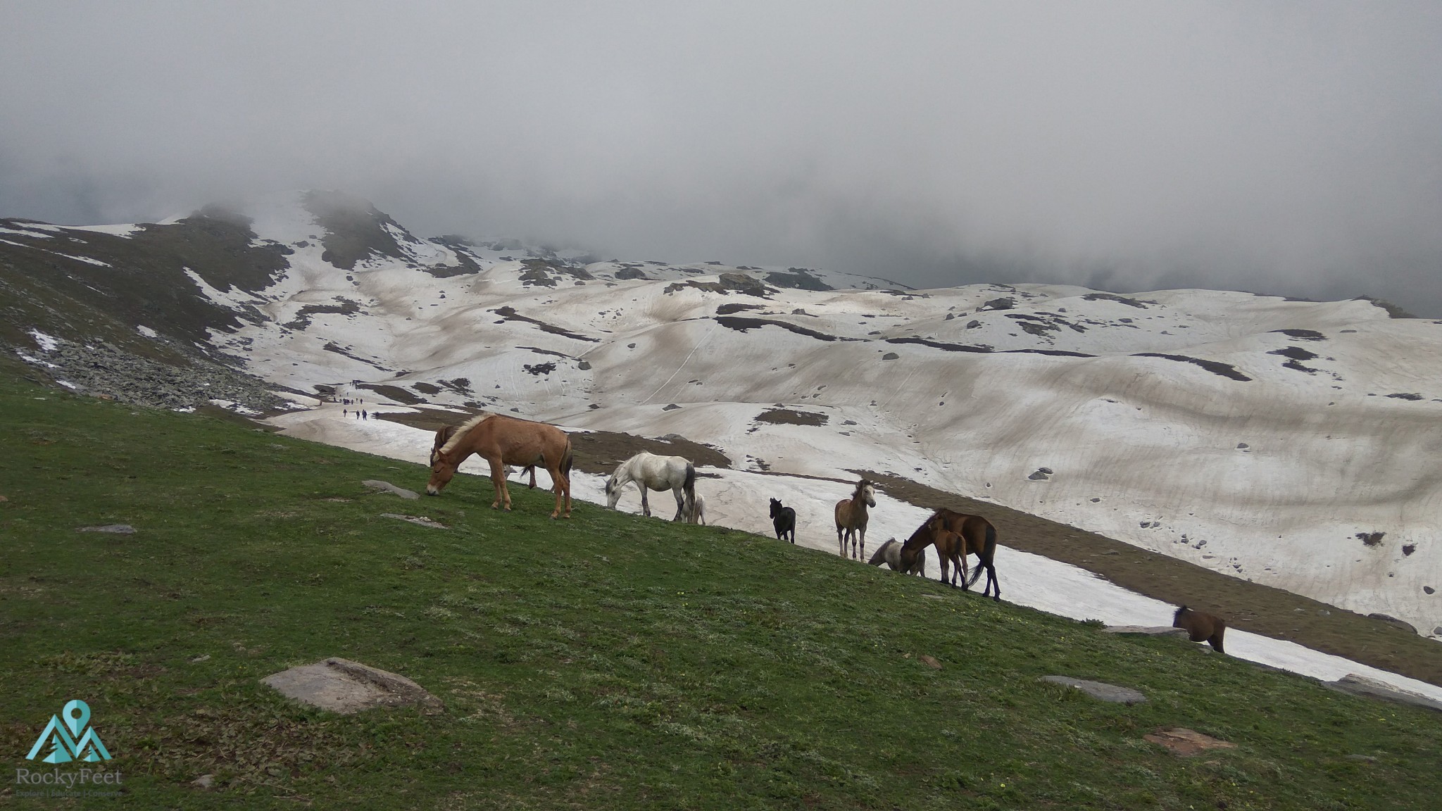 Pir Panjal Scape – Hampta Circuit Trek