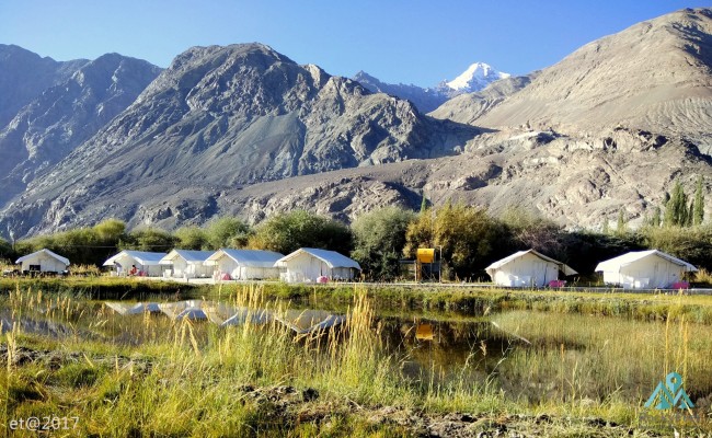 Nubra Stay