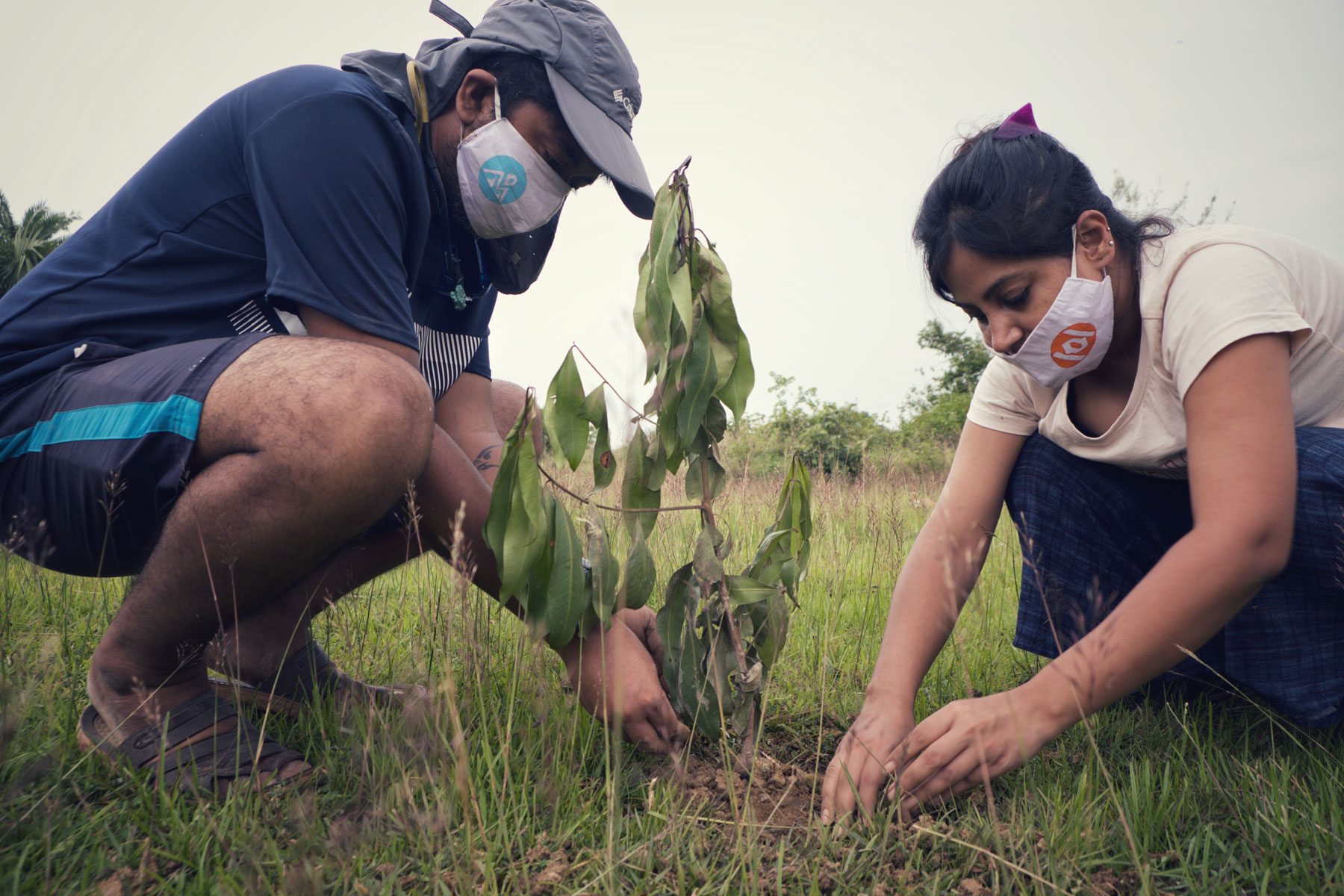 plantation with community