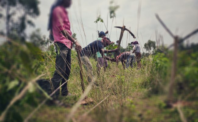 green is future 2020 bankura