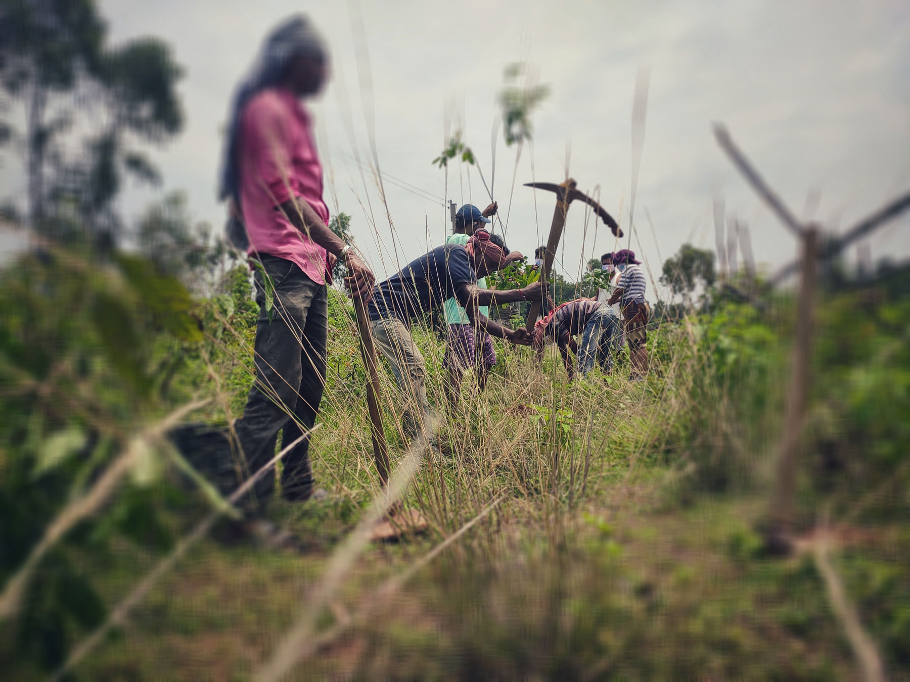 green is future 2020 bankura